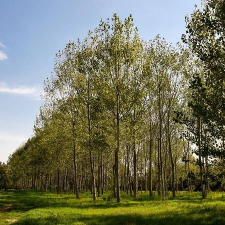 Masseria Giosole Capua Kültér fotó